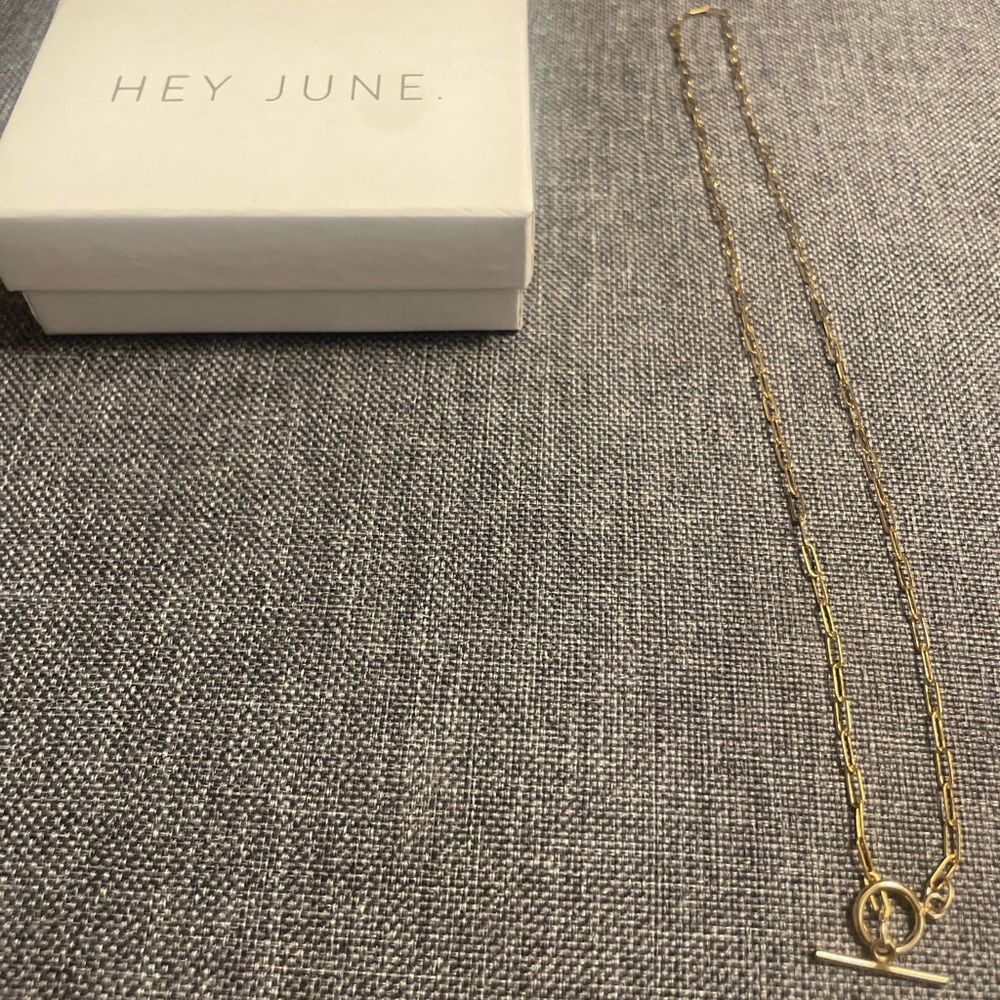 Hey June 16” goldfilled Baby Antonia necklace paperclip chain toggle front clasp